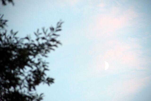 2010 07 17 jeanmarcperfetti.com 003.JPG